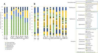 Impact of Leptospermone, a Natural β-Triketone Herbicide, on the Fungal Composition and Diversity of Two Arable Soils